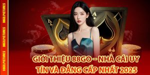 Giới thiệu 88Go về quy trình phát triển
